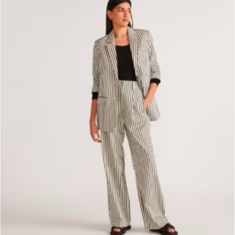 EUC Everlane Draper Pleated Pant